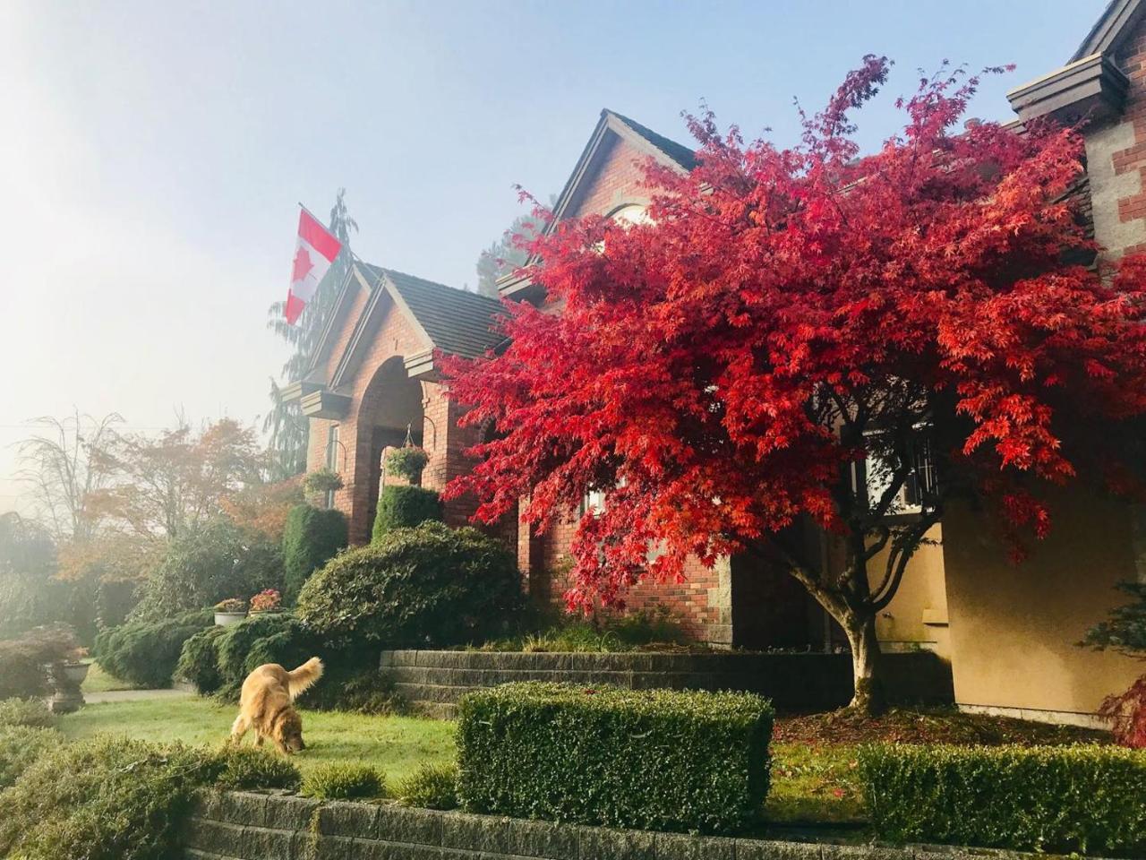 Cedar Manor Bed And Breakfast Pitt Meadows Dış mekan fotoğraf